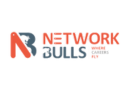 NETWORK BULLS logo